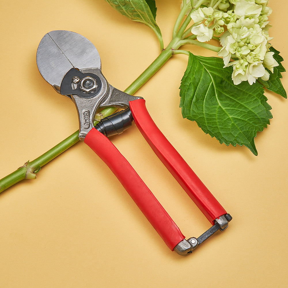 Straight Bladed Anvil Hand Pruner from Spain