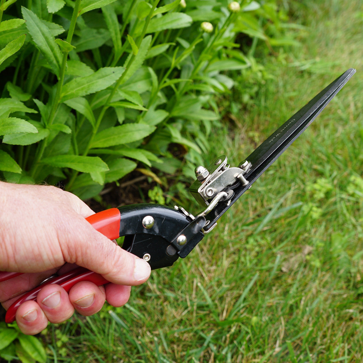 Side view of Garrett Wade Grass Trimmer