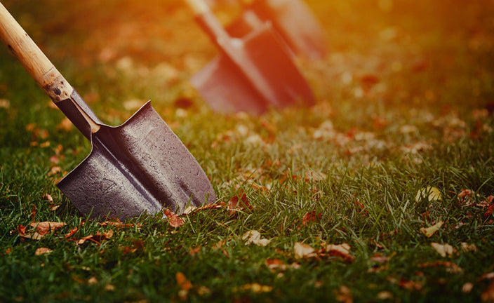 Shovels and Spades: What's the Difference