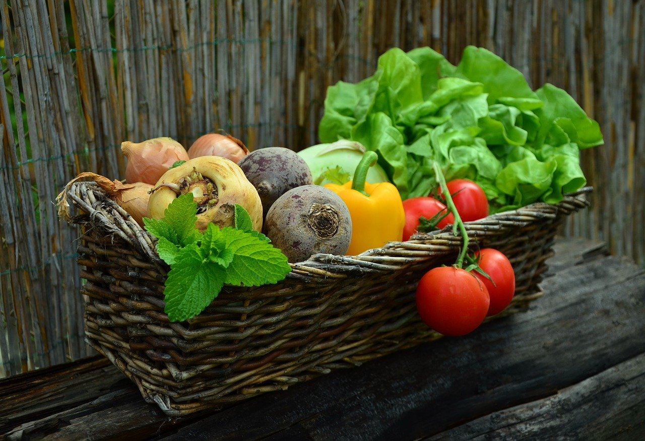 How to Grow Your Own Victory Garden