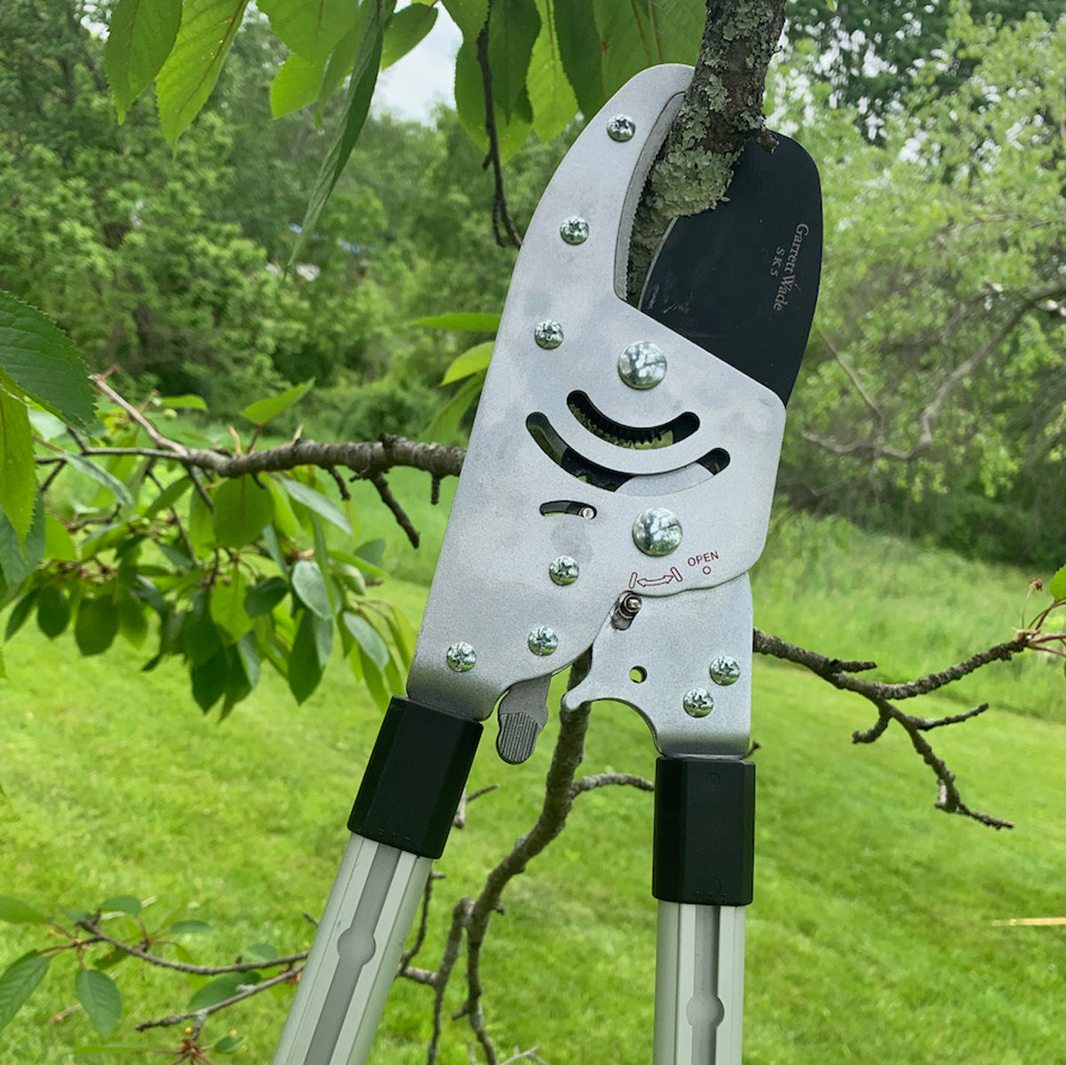 Heavy Duty Anvil Lopper