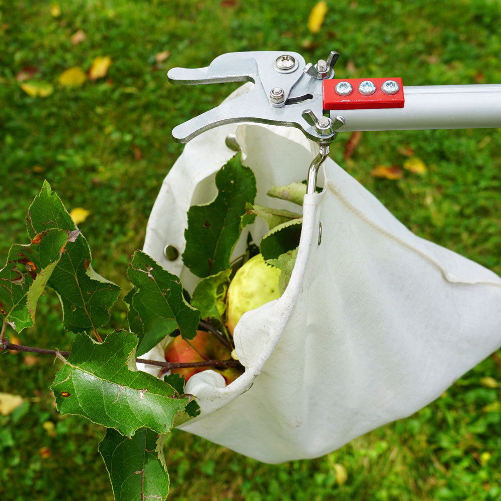 Telescopic Fruit Picker