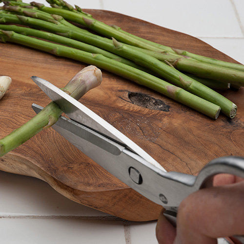 Stainless Steel Kitchen & Household Shears