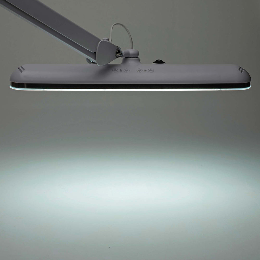 Professional Task Light
