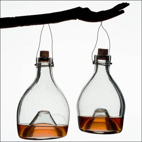 Glass wasp traps