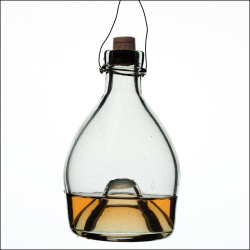 Glass wasp traps