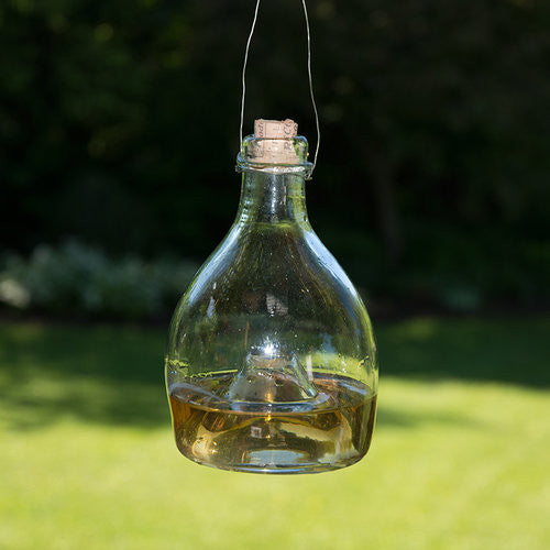 Glass wasp traps