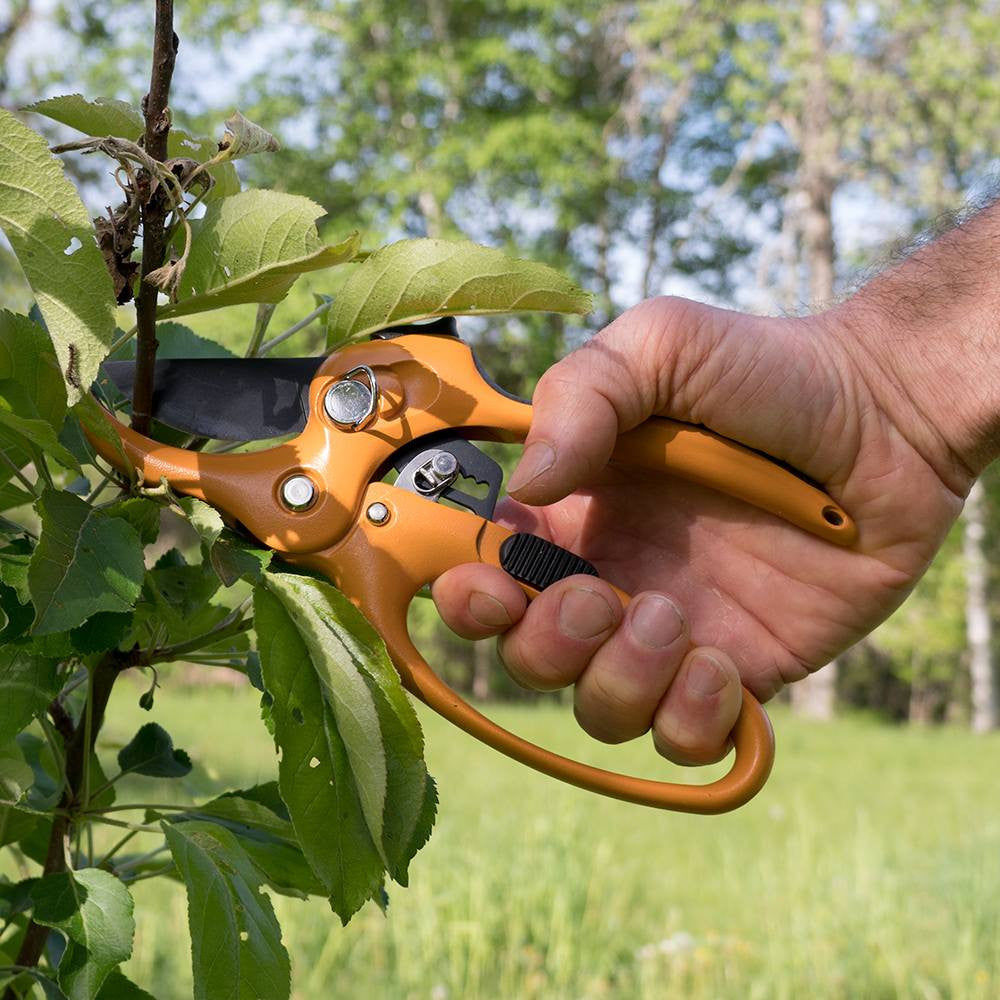 Ratcheting Hand Pruner