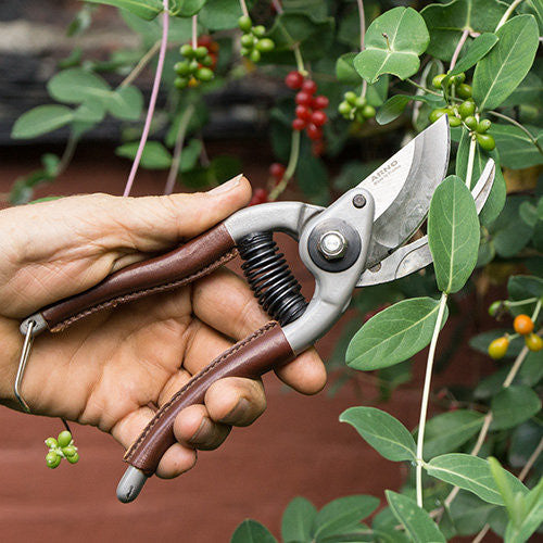 French Gardening Pruners