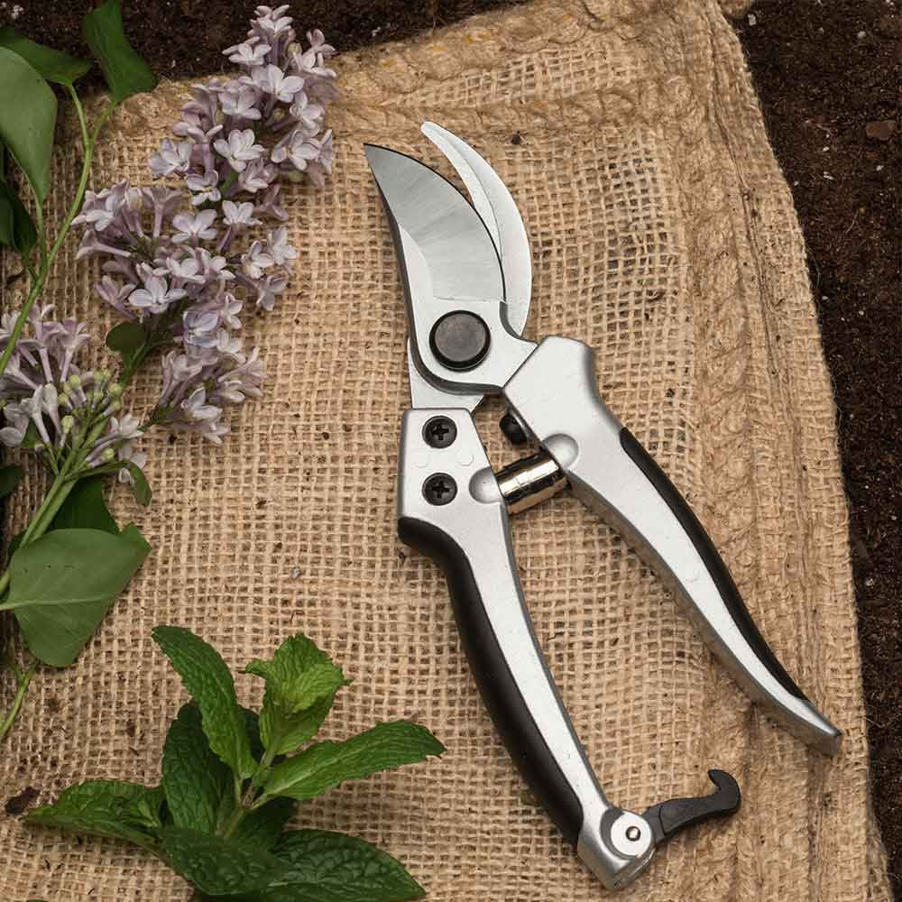 Bypass Pruner