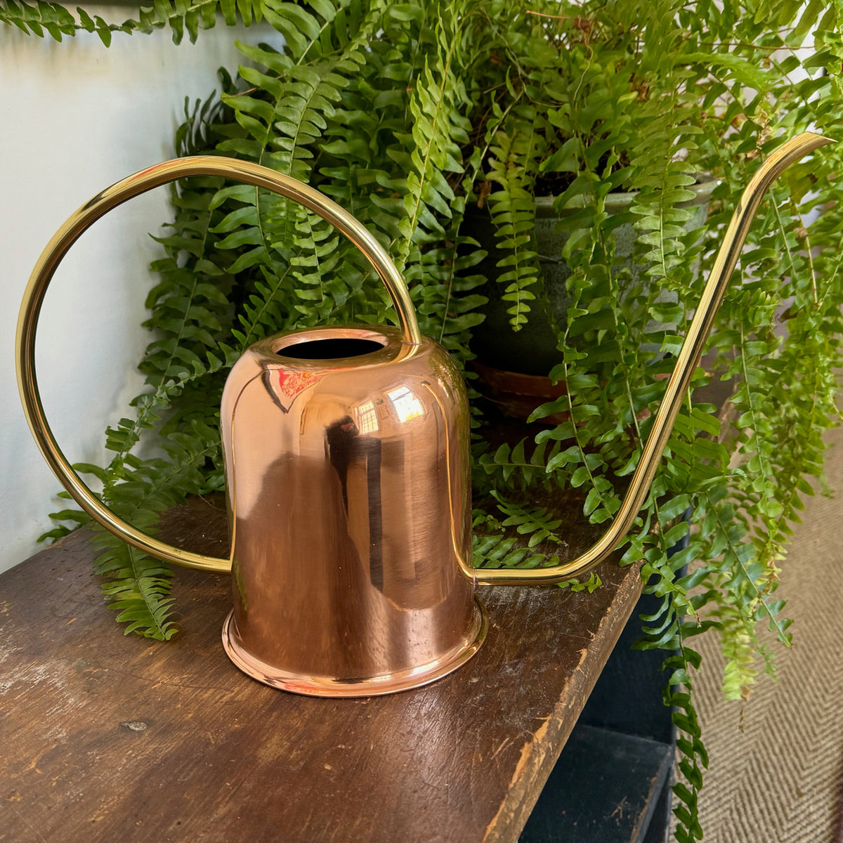 Copper & Brass Indoor Watering Can