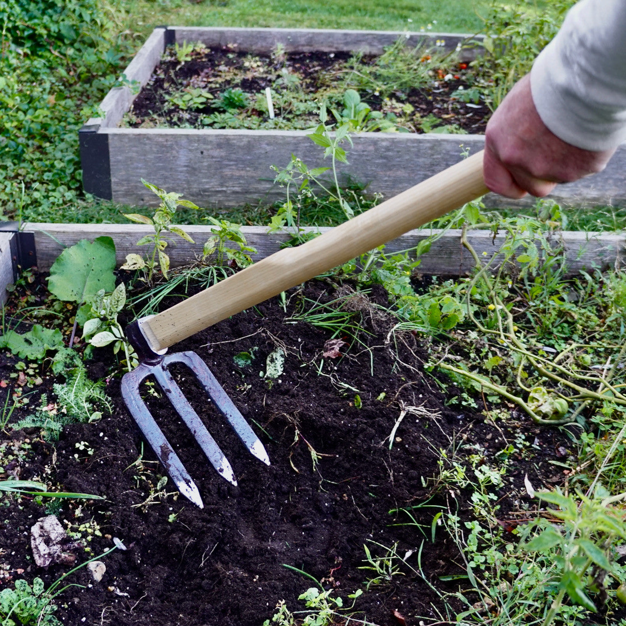 3-Tine German Made Cultivator