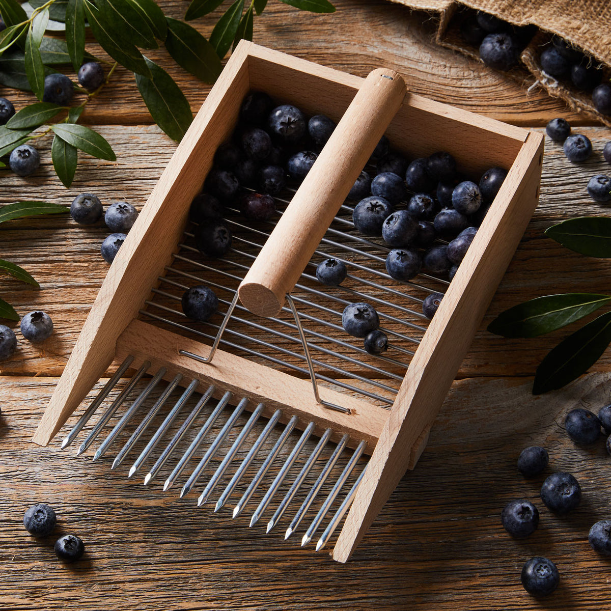 Huckleberry Comb  Berry Harvester