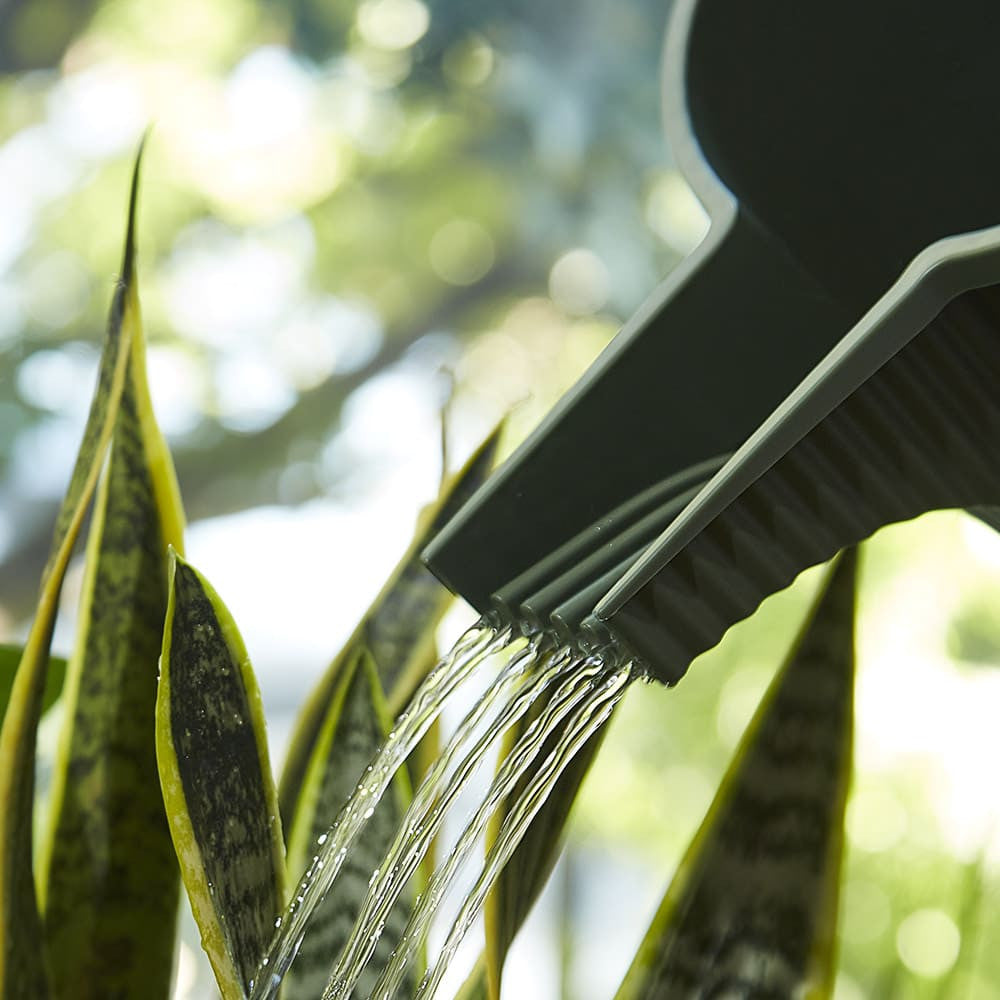 Modern Japanese Watering Can