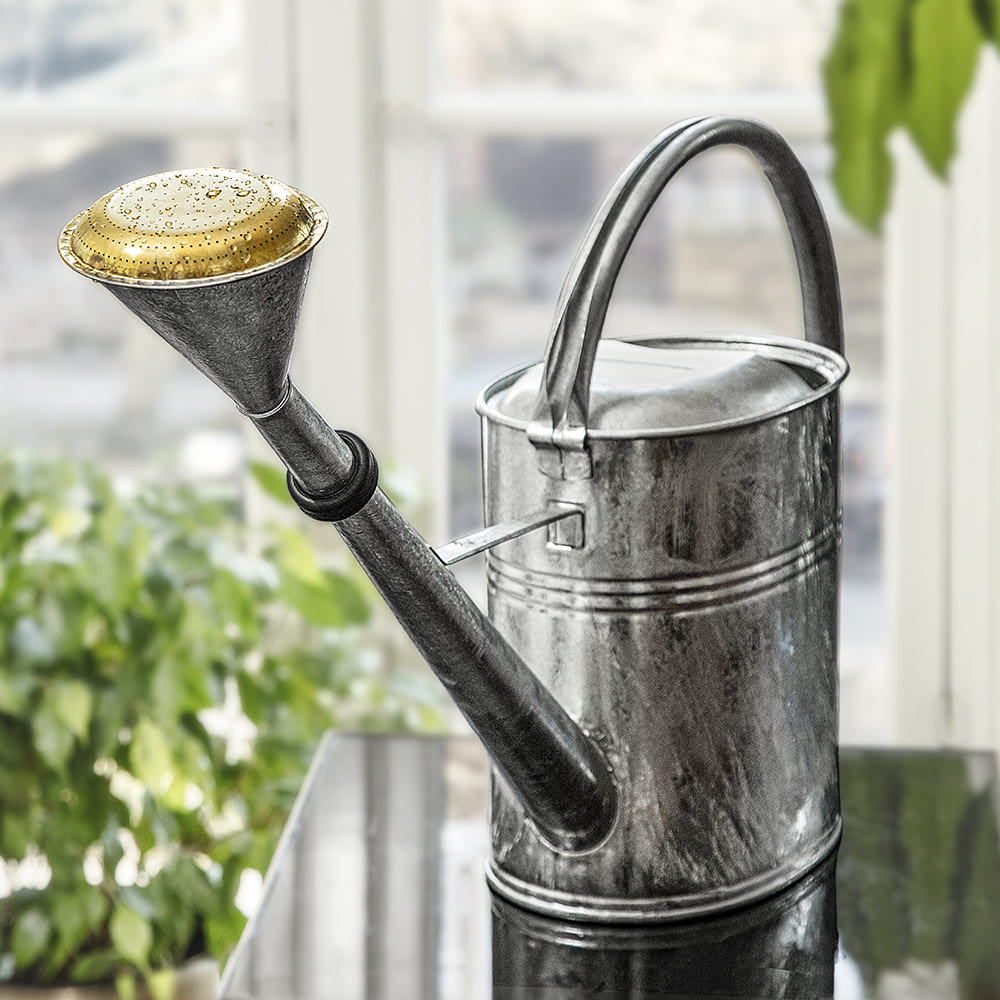 Gifts Under $100