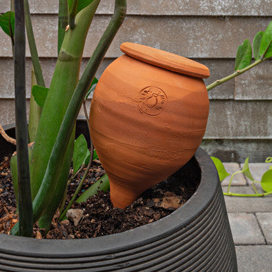 Medium Teardrop-Shaped Terracotta Container Plant Hydrator