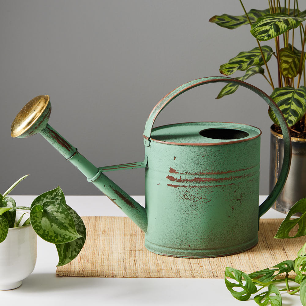 Antiqued 4 Quart Copper Plated Watering Can